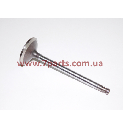 Впускний клапан 04208095, 04198105, 04255216, 02283374 для двигуна BF6M1012 Deutz