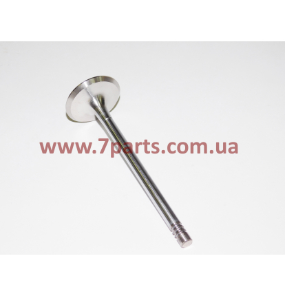 Впускний клапан 04234951, 04234952, 04234953, 04231479, 50004501 для двигуна DEUTZ L912