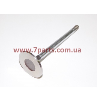 Випускний клапан 04255255, 04200064 для двигуна BF6M1013 Deutz
