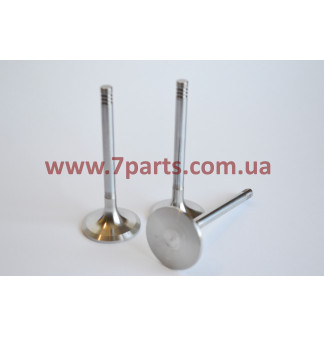 Впускний клапан 12159606, 12911725 для двигуна Deutz TD226B, WP6