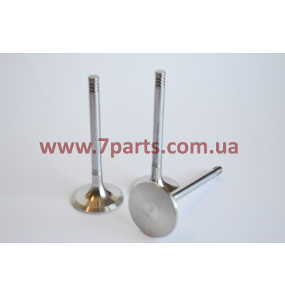 Впускний клапан 12159606, 12911725 для двигуна Deutz TD226B, WP6
