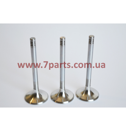 Випускний клапан 12159608, 12911726 для двигуна Deutz TD226B, WP6