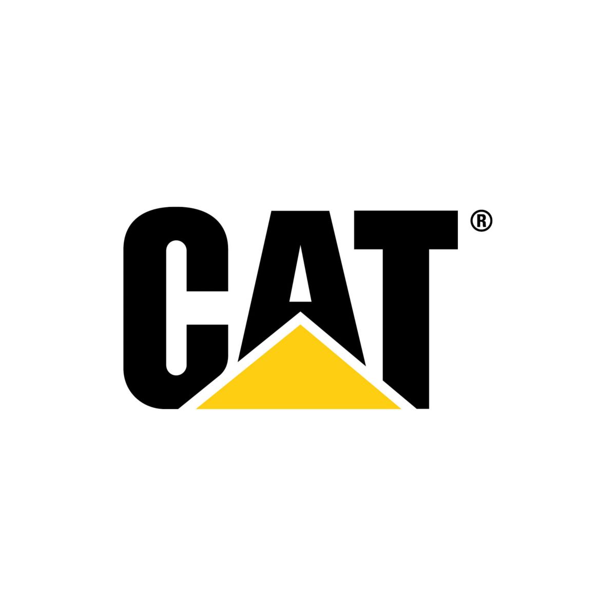 Запчастини на двигун Caterpillar CAT 3306, 3054, C6121, D6114